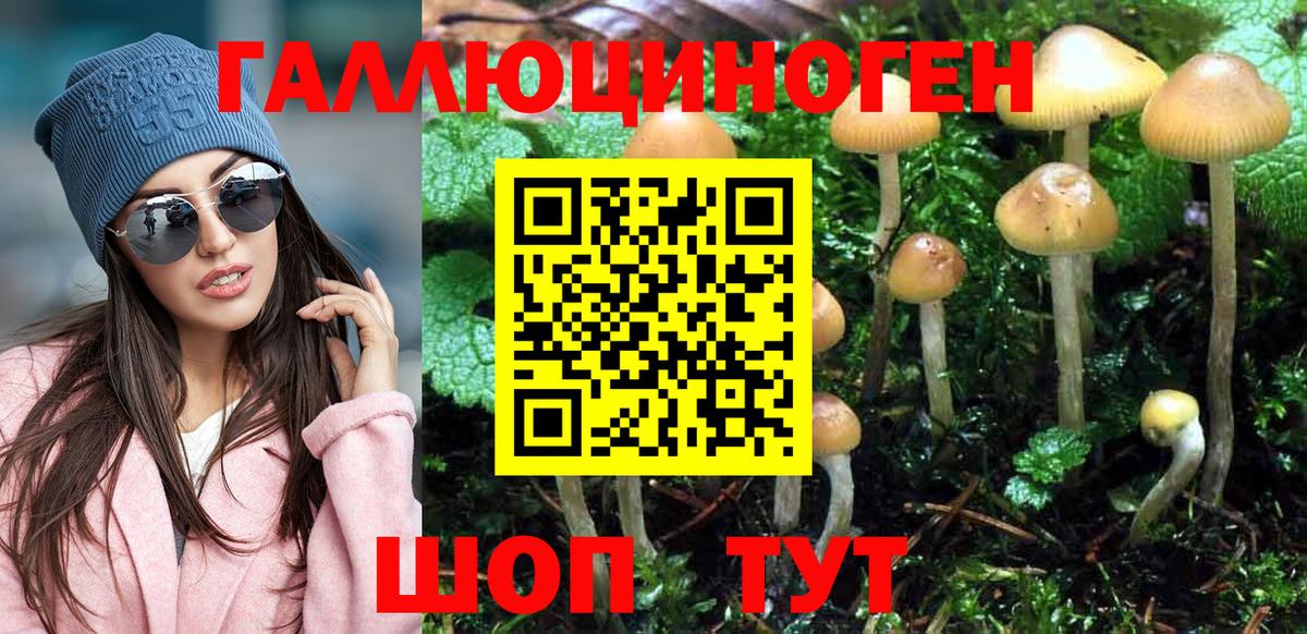 Галлюциногенные грибы ЛСД  Галлюциногенные грибы ЛСД  магазин    Елизово  Вход с VPN 